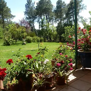  Vakantiehuis Domaine Du Planas - Patio Frankrijk